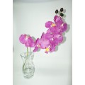Tall Glass Vase with Orchid Stem - Colour Selection Available